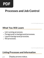 Processes and Job Control