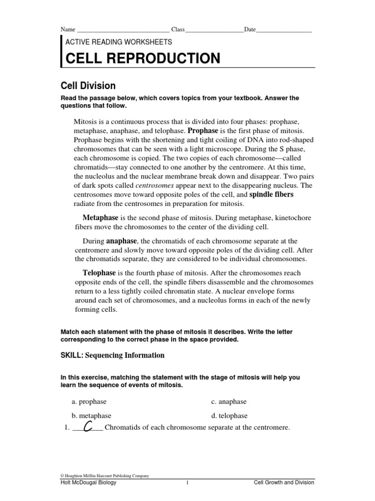 Chapter 5 active reader download free pdf mitosis chromosome