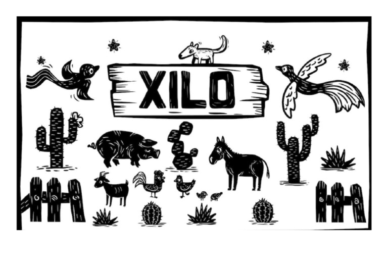 XILO | PDF