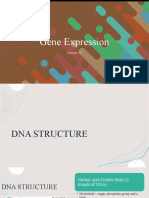 Dna Replication