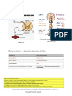 Physiology Lab 2 - Motor Examinations