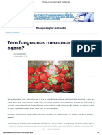 Tem Fungos Nos Meus Morangos! E Agora - Food Safety Brazil