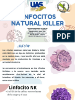 Linfocitos NK-1