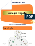 Botânica - Grupos Vegetais