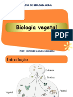 Biologia Geral: Reino Plantae