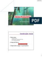 Reino Protoctista: características e principais grupos