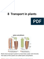 8-Transport in Plants