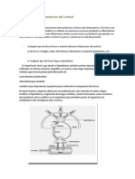 Efectos Anti - Inflamatorios Cortisol