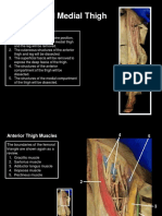 Human Anatomy and Physiology Study Guide 1