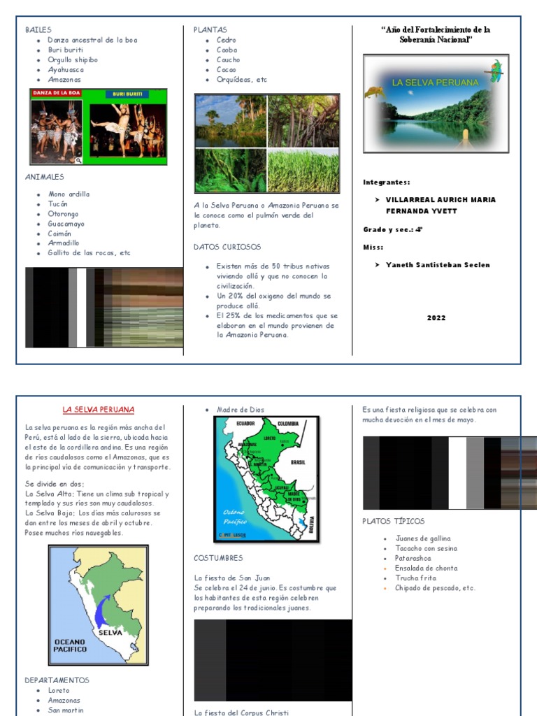 Tríptico sobre la Selva Peruana para Niños | PDF | Selva amazónica | Perú