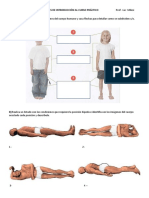 P1-Topografía Del Cuerpo Humano