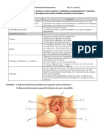 P4-+Genitales+Femeninos