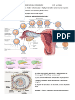 P6-Desarrollo+embrionario