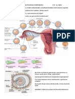 P6-Desarrollo Embrionario