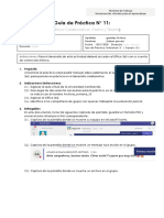 Guia Practica de La Semana 11