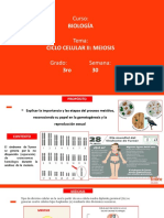B-3ro-Meiosis y Gametogénesis