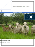 Manual de Bovino Carne