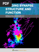 Imaging Synapse Structure and Function