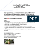 19.NEAS-Newco Avocado - Marketing.Plan-I.RAGAZZI - DI.VIA - CASAGLIA GULINI