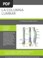 Anatomía y Función de la Columna Lumbar | PDF | La columna vertebral ...
