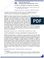 P Colapso Interno em Mangas o Problema Na Visao de Atacadistas