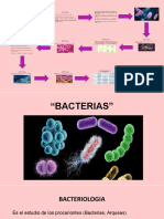 Bacterias 1