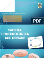 Cadena Eoidemiologica Del Dengue