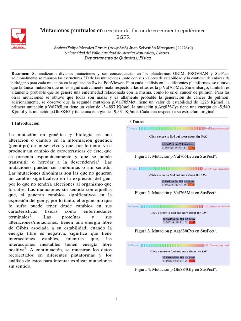 Receptor Del Factor de Crecimiento Epidérmico EGFR Descargar gratis