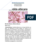 Candida Albicans