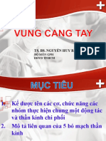 Vung Cang Tay 2020