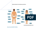 El Cuerpo Humano en Idioma Quechua