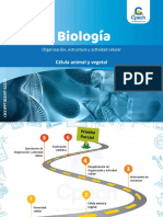 Clase de Biología para PAES.