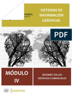 Módulo IV Sistemas de Información Gerencial