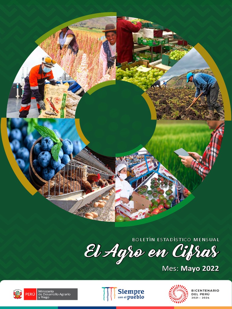 Boletín Mensual El Agro En Cifras Mayo 2022 Pdf Agricultura Perú