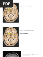 Sample Questions