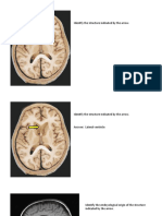 Sample Questions