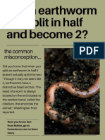 Earthworm Poster