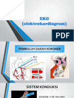 EKG (Elektrokardiogram)