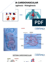 Práctica Sist - Cardiovascular