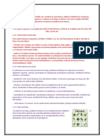 INFORME1