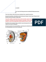 Materi Presentasi Embriologi