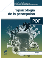 Mónica Triviño Mosquera, Judit Bembibre Serrano, Marisa Arnedo Montoro - Neuropsicología de la percepción - Libro Dinámico