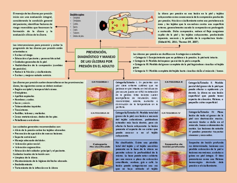 Mapa Upp | PDF | Piel | Hueso