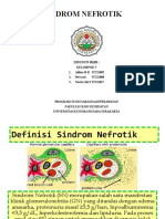 Sindrom Nefrotik