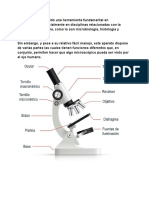 El Microscopio Ha Sido Una Herramienta Fundamental en Investigación, Especialmente en Disciplinas Relacionadas Con La Medicina y La Biología, Como Lo Son Microbiología, Histología y Citología