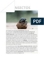 INSECTOS