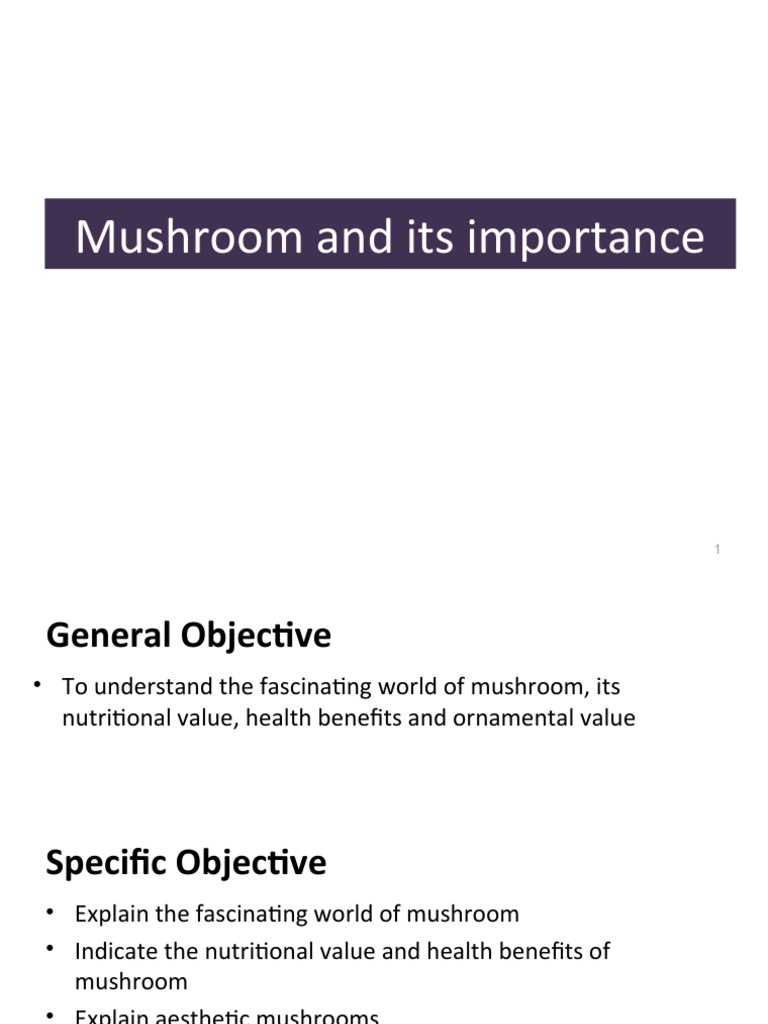 Mushroom and Its Importance PDF Edible Mushroom Foods