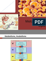 Metabolisme Lipid