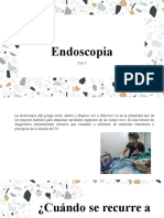 Endoscopia veterinaria: Guía completa sobre su uso, tipos y ventajas