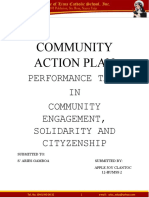Community Action Plan